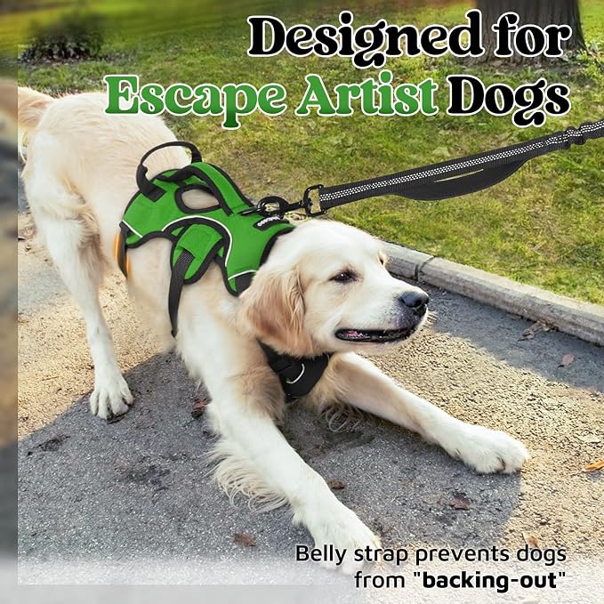 rabbitgoo Escape Proof Dog Harness for Medium, No Pull with Lift Handle | No Escape, Full Soft Padded, Reflective Adjustable Vest, Leash Clip for Walking Hiking Training, Green, Medium