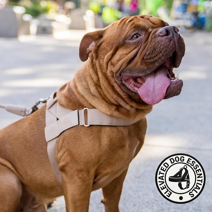 Dog Friendly Co. Dog Harness for Large Sized Dogs (Brown, Extra Large) | One Click Buckle, Chafe Resistant Webbing, Adjustable Neck & Chest, and Heavy Duty D-Ring, Sturdy Comfortable and Easy to Use