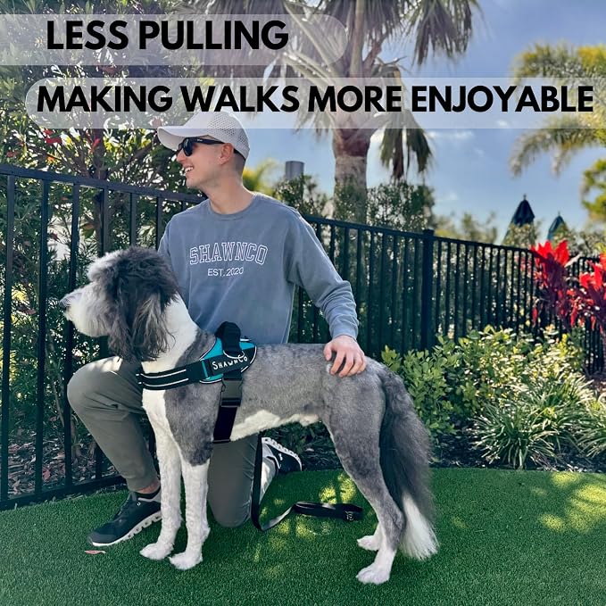 ShawnCo Essential Pro Dog Harness, No-Pull Pet Vest with Removable, Reflective Side Patches, Adjustable and Padded Harness for Small, Medium and Large Dogs (Mustang Red, XS)