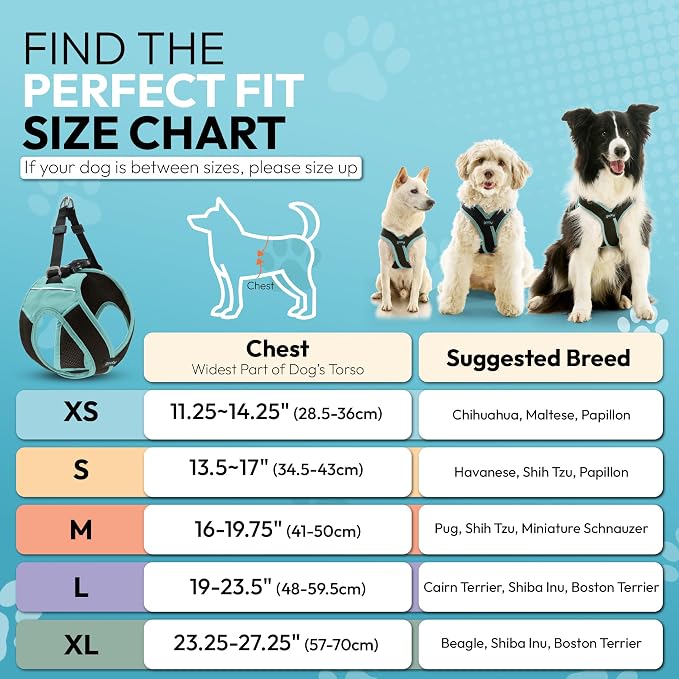 Gooby Escape Free Easy Fit X Step-in Dog Harness, Seattle Blue, Large | Patented escape-free, tightens on back-out; Choke-free X-frame + V-neck; Quick-release buckle; Reflective trim