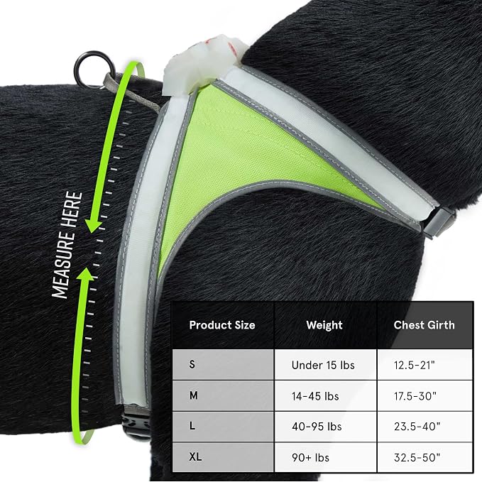 noxgear LightHound Light Up Reflective Dog Harness, Small | 360° Light Up Reflective Dog Harness, 8 Colors & 6 Modes, USB Rechargeable, Adjustable, Rainproof, LED Fiber Optic