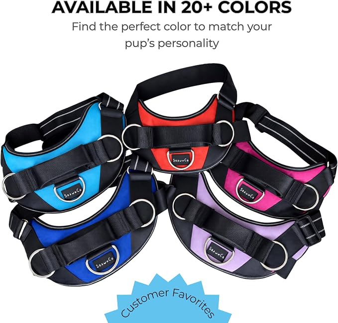 ShawnCo Essential Dog Harness, No-Pull Pet Vest (Oceanic Blue,L) | 3 Leash Clips, Easy On, No-Choke, Reflective, Adjustable Fit, Padded Comfort, Control Handle, For Small, Medium & Large Dogs