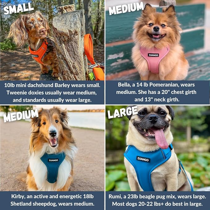 Adventure Dog Harness - Stylish, & Durable Small Dog Harness for Outdoor Adventures and Everyday Wear - Sunset Orange Neoprene Adjustable Harness for Dogs with Reflective Piping & Brass D-Ring
