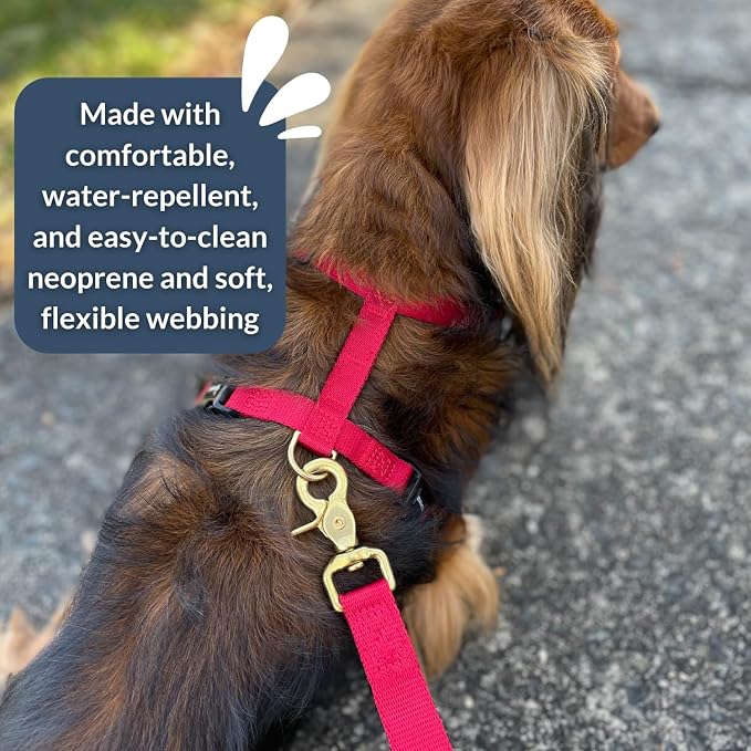 Adventure Dog Harness - Stylish and Durable Small Dog Harness for Outdoor Adventures and Everyday Wear - Red Neoprene Adjustable Harness for Dogs with Reflective Piping, Solid Brass D-Ring