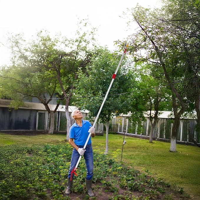 VINGLI 4-in-1 Telescopic Tree Trimmer, Extendable Pole Pruner with Adjustable Handle, Safety Lock & Removable Saw Blade, Branch Cutter, Fruit Picker, Cutting Diameter Up to 1/2 Inch (5.9-9.8FT)