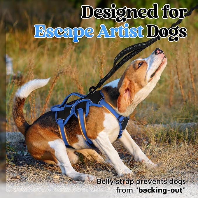 rabbitgoo Escape Proof Dog Harness for Small, No Pull with Lift Handle | No Escape, Full Soft Padded, Reflective Adjustable Vest, Leash Clip for Walking Hiking Training, Blue & Black, Small