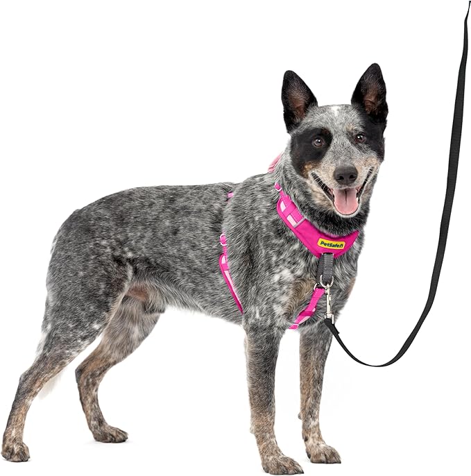 PetSafe Easy Walk Comfort No Pull Dog Harness, Pink, Medium | Stops Pulling on First Use with Front Martingale Loop, Full-Body Padding, 5-Point Adjustable Fit