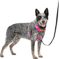 PetSafe Easy Walk Comfort No Pull Dog Harness, Pink, Medium | Stops Pulling on First Use with Front Martingale Loop, Full-Body Padding, 5-Point Adjustable Fit