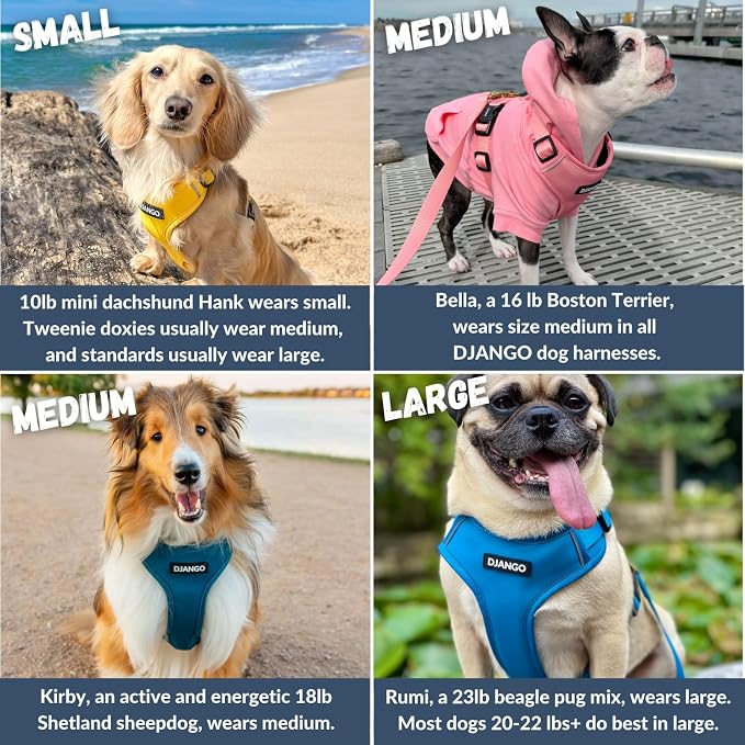 Adventure Dog Harness - Stylish, and Durable Large Dog Harness for Outdoor Adventures and Everyday Wear - Quartz Pink Neoprene Adjustable Harness for Dogs with Reflective Piping, Brass D-Ring