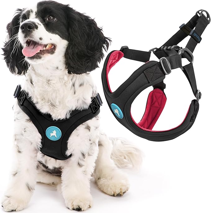 Gooby Sporty Escape Free Harness, Medium - Black, Neoprene, No-Pull, 4-Point Adjustment for Small Dogs up to 35 lbs | Patented escape-free frame; Reduces choking; 4-point adjustment; Soft neoprene padding; Durable webbed straps
