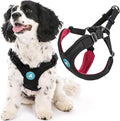 Gooby Sporty Escape Free Harness, Medium - Black, Neoprene, No-Pull, 4-Point Adjustment for Small Dogs up to 35 lbs | Patented escape-free frame; Reduces choking; 4-point adjustment; Soft neoprene padding; Durable webbed straps