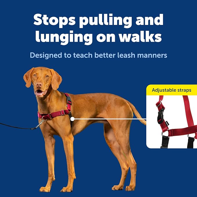 PetSafe Easy Walk Harness, No Pull Dog Harness, Deep Purple, Medium/Large | Patented Martingale Loop Gives Gradual Shoulder Pressure to Stop Pulling, Front-Chest Leash Clip Prevents Gagging