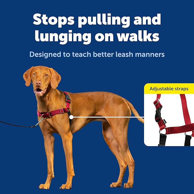 PetSafe Easy Walk Harness for Dogs - Pull-Free Walks - Patented Martingale Loop Design - Front Chest Leash Attachment - Comfort Straps - Breathable Harness Design - Medium, Red/Black | Patented Martingale Loop Gives Gradual Shoulder Pressure to Stop Pu...