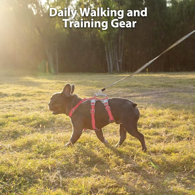 Escape Proof Dog Harness, No Pull Reflective Harness with Lift Handle, Adjustable Pet Vest with Front and Back Leash Clips for Small Medium Large Dogs Walking Hiking Training (Red,XL)