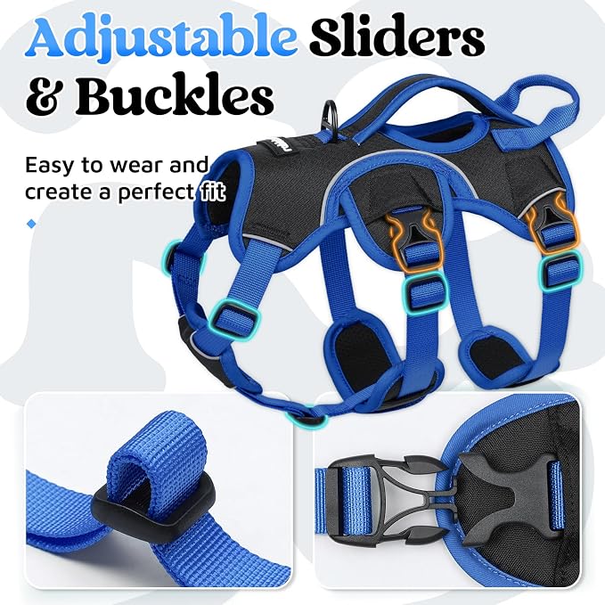 rabbitgoo Escape Proof Dog Harness for Small, No Pull with Lift Handle | No Escape, Full Soft Padded, Reflective Adjustable Vest, Leash Clip for Walking Hiking Training, Blue & Black, Small