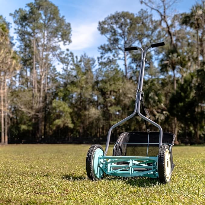 American Lawn Mower Company 1304-14GC 14-Inch 5-Blade Push Reel Lawn Mower with Grass Catcher, Mint