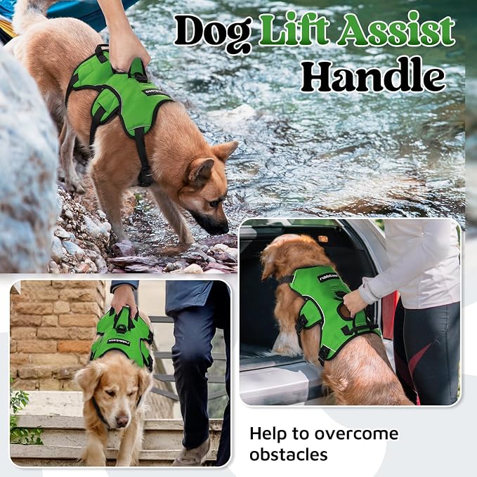 rabbitgoo Escape Proof Dog Harness for Medium, No Pull with Lift Handle | No Escape, Full Soft Padded, Reflective Adjustable Vest, Leash Clip for Walking Hiking Training, Green, Medium