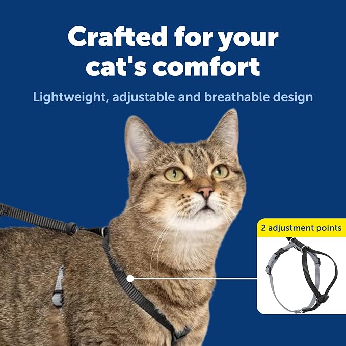 PetSafe Come With Me Kitty Harness and Bungee Leash, Harness for Cats, Large, Black/Silver, CWMK-L-BLK | Adjustable 2-Point Fit Applies Gentle Pressure to Shoulders, Not Neck, for Average and Large Cats with 13 in - 18 in Girth