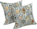 LVTXIII 2 Pack Outdoor Pillows 18x18 Inch, Square Throw Pillows with Inserts, Decorative Water-Repellent Pillow Cushions for Patio Furniture and Garden Sofa, Cabana Shells