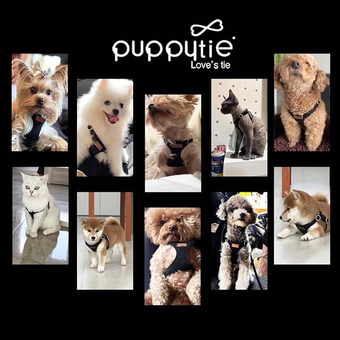 Puppytie XS Dog Harness and Leash Set, Black, XS (4.5-11 lbs) | Extra Small Dog Harness, Puppy Harness and Leash, Soft Lightweight and Adjustable, Xsmall Dog Harness for Daily Walks