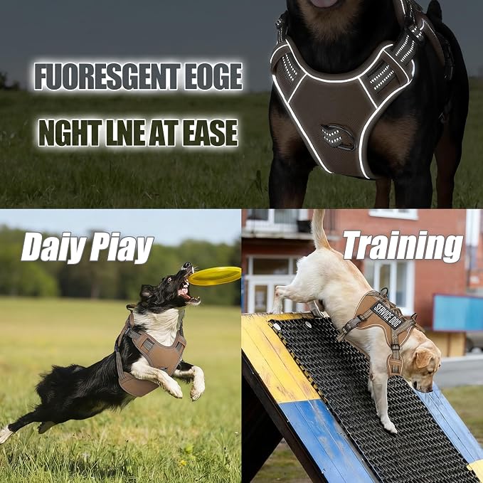 3-in-1 Dog Vest Harness Leash Set for Daily,Service,Training Animal X Large