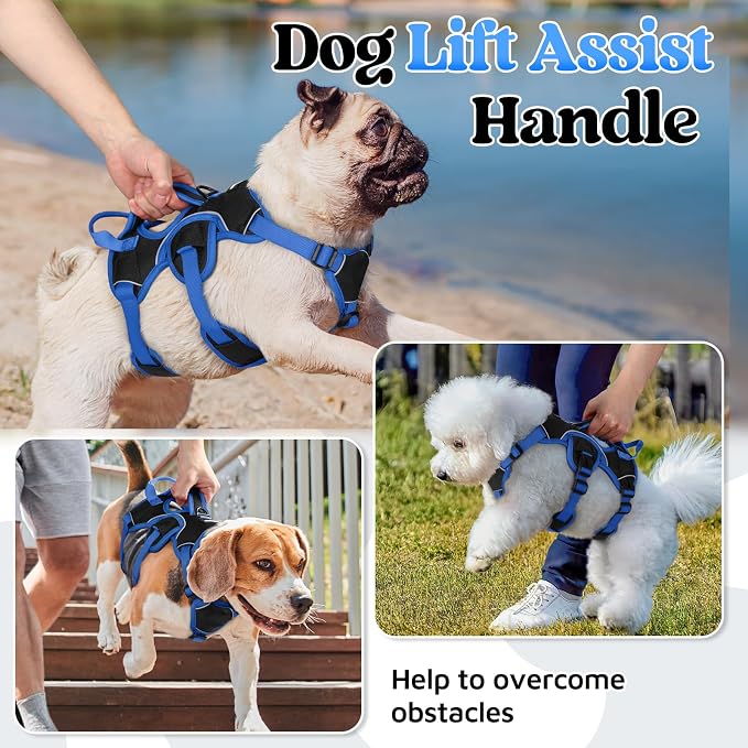 rabbitgoo Escape Proof Dog Harness for Small, No Pull with Lift Handle | No Escape, Full Soft Padded, Reflective Adjustable Vest, Leash Clip for Walking Hiking Training, Blue & Black, Small
