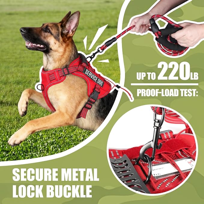 3-in-1 Dog Vest Harness Leash Set for Daily,Service,Training Animal Small