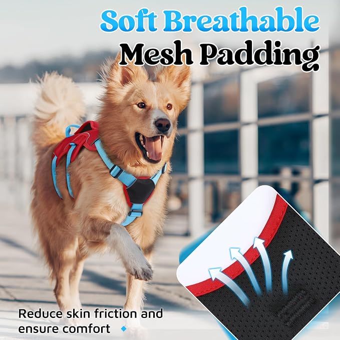 rabbitgoo Escape Proof Dog Harness for Medium, No Pull with Lift Handle | No Escape, Full Soft Padded, Reflective Adjustable Vest, Leash Clip for Walking Hiking Training, Sky Blue & Red, Medium