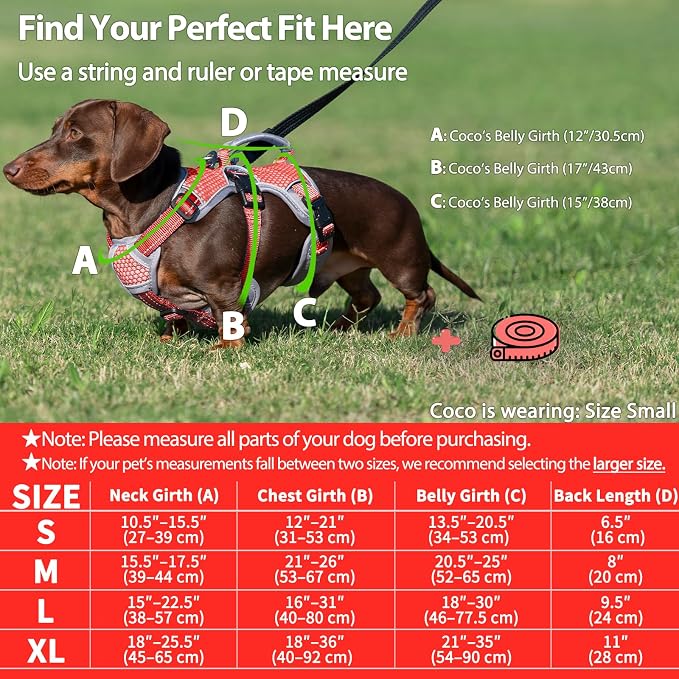 Escape Proof Dog Harness, Dachshund Harness, Reflective Dog Harness with Handle, Durable,Adjustable Vest for Small Medium Large Dogs Walking, Training, and Running Gear (Red,XL)