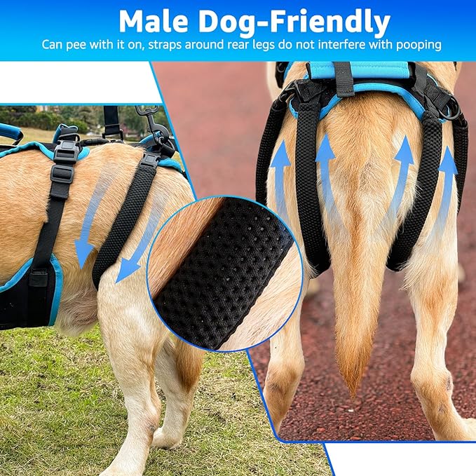 Dog Lift Harness for Extra Large Dogs, 2-in-1 Detachable Support Harness, Full Body Carrying with 4 Handles, Dog Sling for Large Dogs Hind Leg Support(Black, XX-Large)