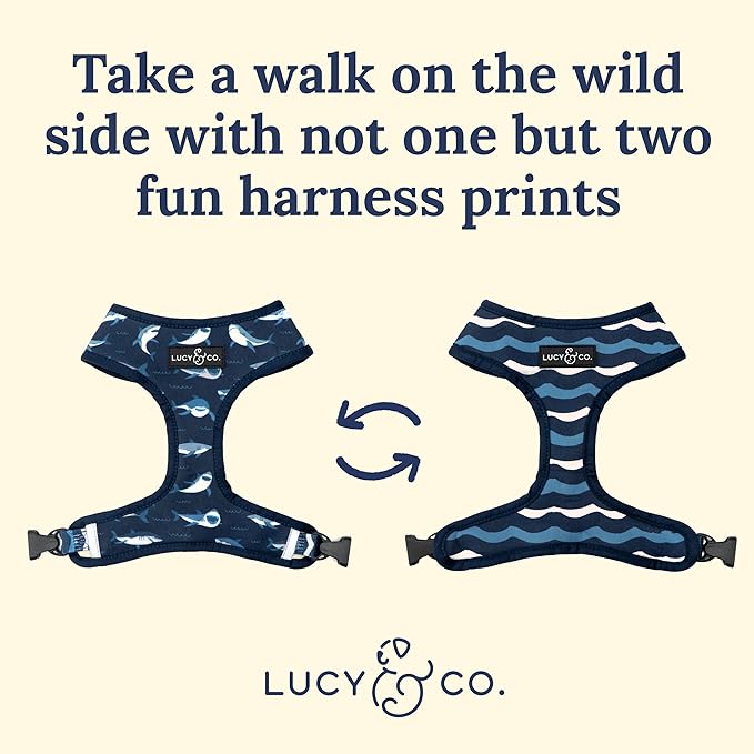 Lucy & Co. Reversible Dog Harness - Water-Repellent Neoprene, Dual-Print Design, Easy Swap Style, Adjustable Comfort Fit - Shark Attack Reversible Harness - X-Small