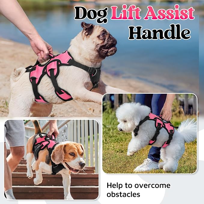 rabbitgoo Escape Proof Dog Harness for Small, No Pull with Lift Handle | No Escape, Full Soft Padded, Reflective Adjustable Vest, Leash Clip for Walking Hiking Training, Peach Pink, Small