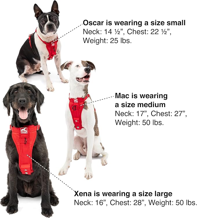 Kurgo Enhanced Strength Tru-Fit Dog Car Harness - Pet Travel Safety Harness - Crash Test Certified Fit - Five Point Adjustment - Secure Buckle - Padded Chest - Deep Violet - Large