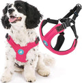 Gooby Escape Free Sport Dog Harness, Choke-Free, Pink, Small | Patented escape-free frame; Reduces choking; 4-point adjustment; Soft neoprene padding; Durable webbed straps