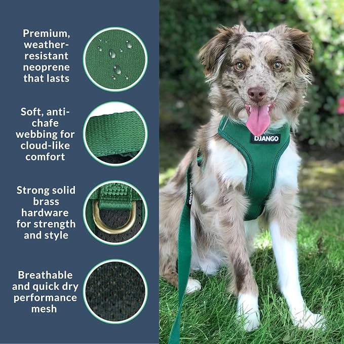 Adventure Dog Harness - Stylish and Durable Small Dog Harness for Outdoor Adventures and Everyday Wear - Forest Green Neoprene Adjustable Harness for Dogs with Reflective Piping & Brass D-Ring