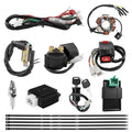 PRO BAT Full Electrics Wiring Harness Kit | for 50cc 70cc 90cc 110cc 125cc Chinese ATV Quad Bike 4 Wheeler Baja Coolster SunL Taotao JCL with CDI Coil Magneto Stator