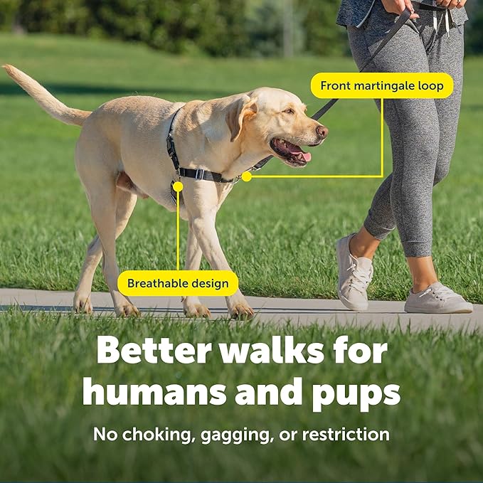 PetSafe Easy Walk Harness, No Pull Dog Harness, Fawn, Large | Patented Martingale Loop Gives Gradual Shoulder Pressure to Stop Pulling, Front-Chest Leash Clip Prevents Gagging