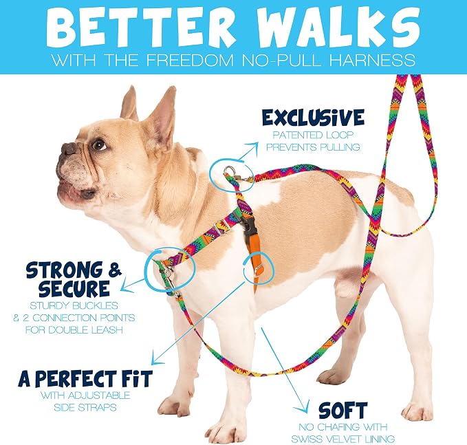 2 Hounds Design Freedom No Pull Dog Harness, 1 inch XL, Purple | Discourages Pulling, Comfortable Control Adjustable Dog Harness for Extra Large Sized Dogs, Made in USA (Leash Not Included)