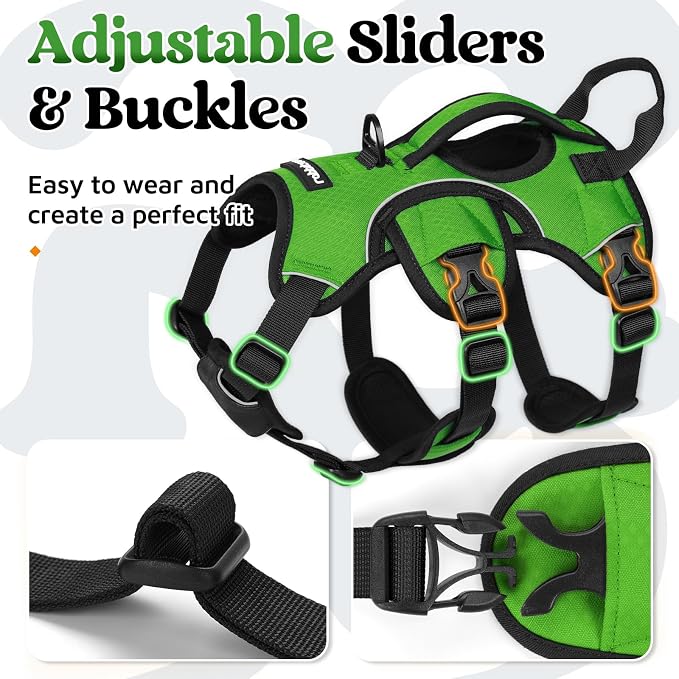 rabbitgoo Escape Proof Dog Harness for Small, No Pull with Lift Handle | No Escape, Full Soft Padded, Reflective Adjustable Vest, Leash Clip for Walking Hiking Training, Green, Small