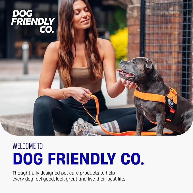 Dog Friendly Co. Dog Harness for Large Dogs (Classic Blue, Large) | One Click Buckle, Chafe Resistant Webbing, Adjustable Neck & Chest, and Heavy Duty D-Ring, Sturdy Comfortable and Easy to Use