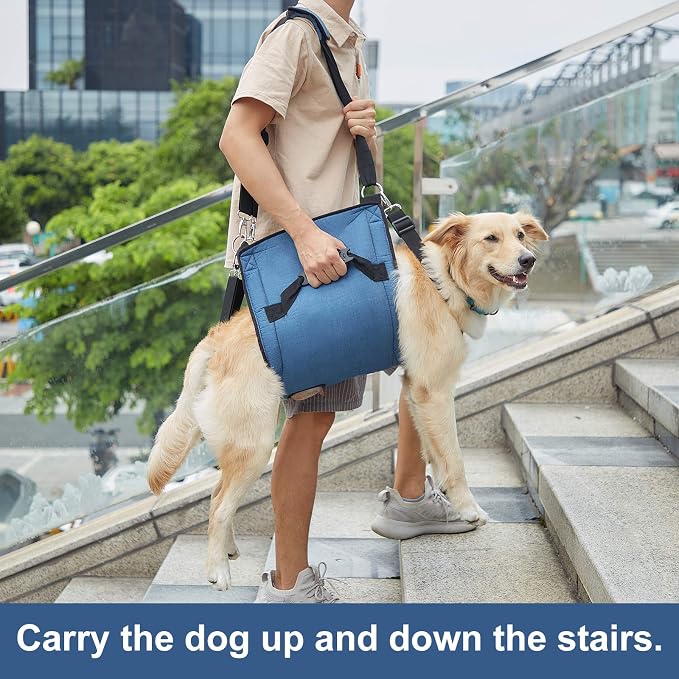 COODEO Dog Carry Sling, Emergency Backpack Pet Legs Support & Rehabilitation Dog Lift Harness for Nail Trimming, Dog Carrier for Senior Dogs Joint Injuries, Arthritis, Up and Down Stairs(2XL, Blue)