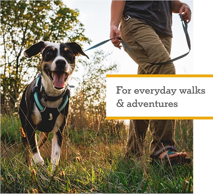 Ruffwear, Hi & Light, Everyday Lightweight Dog Harness, Trail Running, Walking, Hiking, All-Day Wear, Basalt Gray, XX-Small