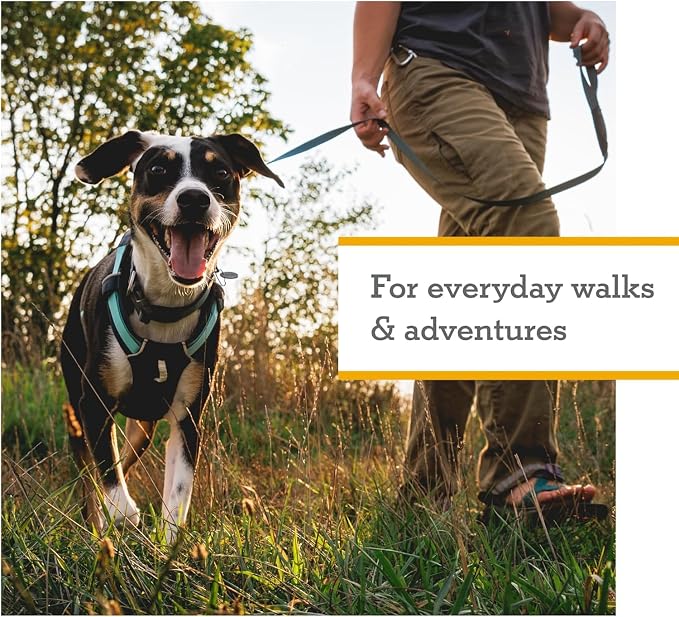 Ruffwear, Hi & Light, Everyday Lightweight Dog Harness, Trail Running, Walking, Hiking, All-Day Wear, Alpenglow Pink, Small
