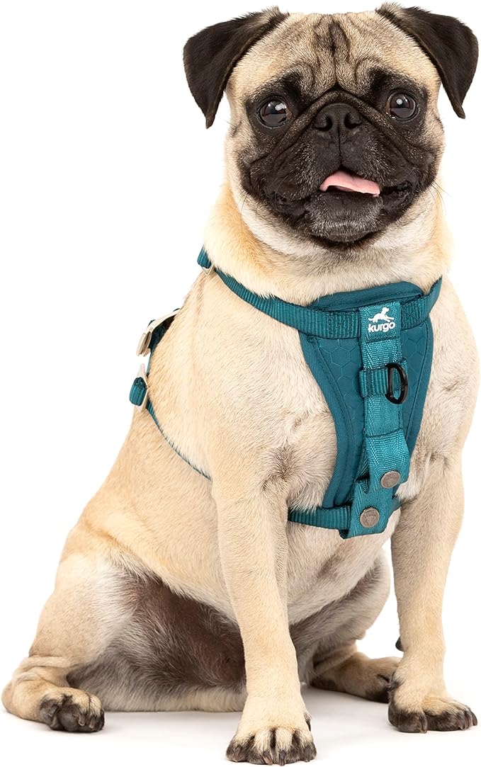 Kurgo Enhanced Strength Tru-Fit Smart Harness, Ink Blue, Extra Small | Crash Tested Car Harness for Dogs up to 75Lbs, Seatbelt Tether & Steel Carabiner, All-Steel Buckles, Padded Chest for Comfort