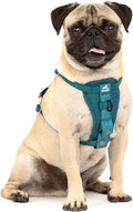 Kurgo Enhanced Strength Tru-Fit Smart Harness, Ink Blue, Extra Small | Crash Tested Car Harness for Dogs up to 75Lbs, Seatbelt Tether & Steel Carabiner, All-Steel Buckles, Padded Chest for Comfort