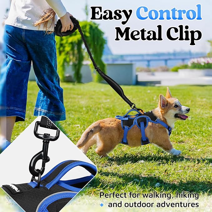 rabbitgoo Escape Proof Dog Harness for Small, No Pull with Lift Handle | No Escape, Full Soft Padded, Reflective Adjustable Vest, Leash Clip for Walking Hiking Training, Blue & Black, Small