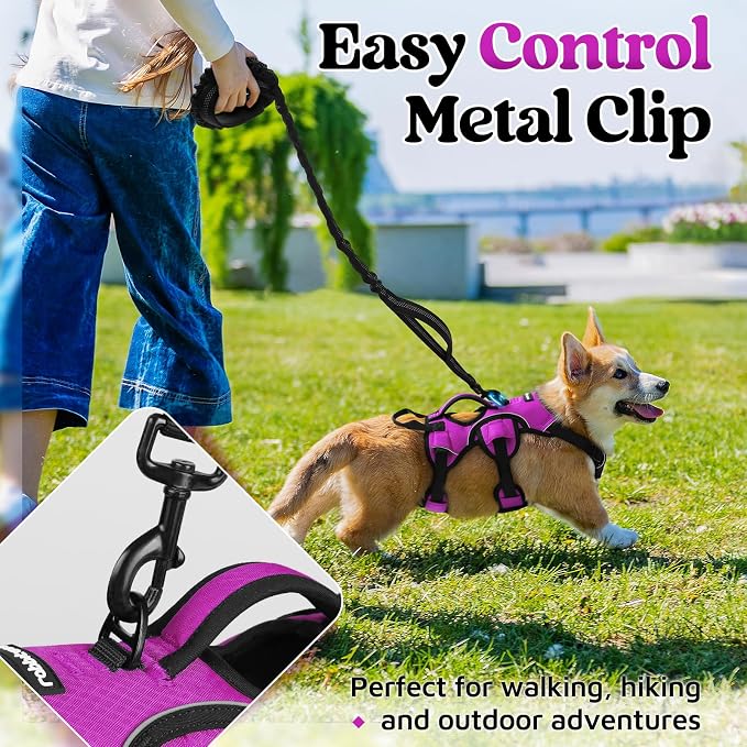 rabbitgoo Escape Proof Dog Harness for Small, No Pull with Lift Handle | No Escape, Full Soft Padded, Reflective Adjustable Vest, Leash Clip for Walking Hiking Training, Purple, Small