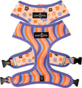 Lucy & Co. Reversible Dog Harness - Water-Repellent Neoprene, Dual-Print Design, Easy Swap Style, Adjustable Comfort Fit - Let's Groove Reversible Harness - X-Large