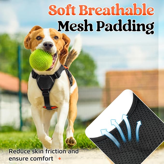 rabbitgoo Escape Proof Dog Harness for Small, No Pull with Lift Handle | No Escape, Full Soft Padded, Reflective Adjustable Vest, Leash Clip for Walking Hiking Training, Orange, Small