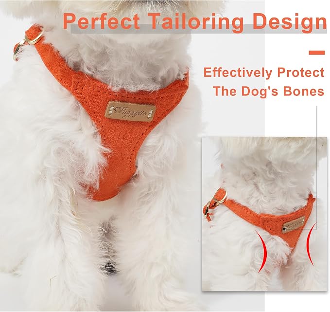 Puppytie Dog Harness and Leash Set, Orange, M (16.5-31 lbs) | Harness Small Size Dog, Dog Leash for Small Dogs, Soft Lightweight and Adjustable, Small Dog Harness for Daily Walks
